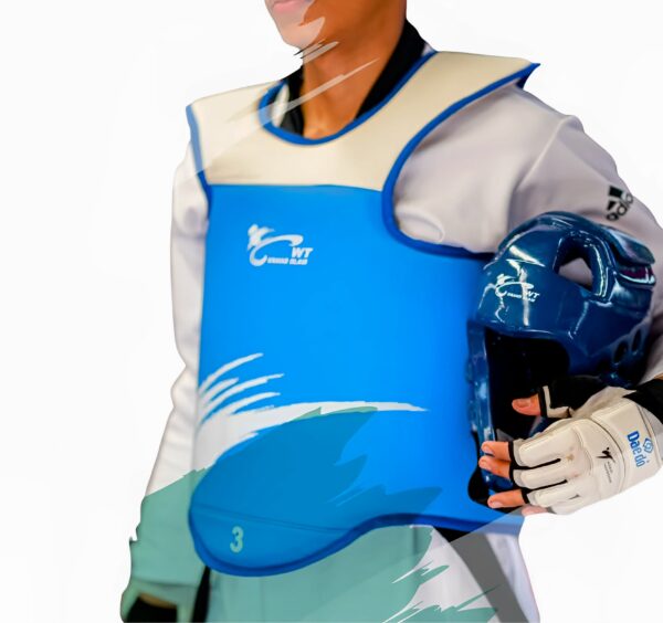 PSS Scoring System for Taekwondo Training - Image 2